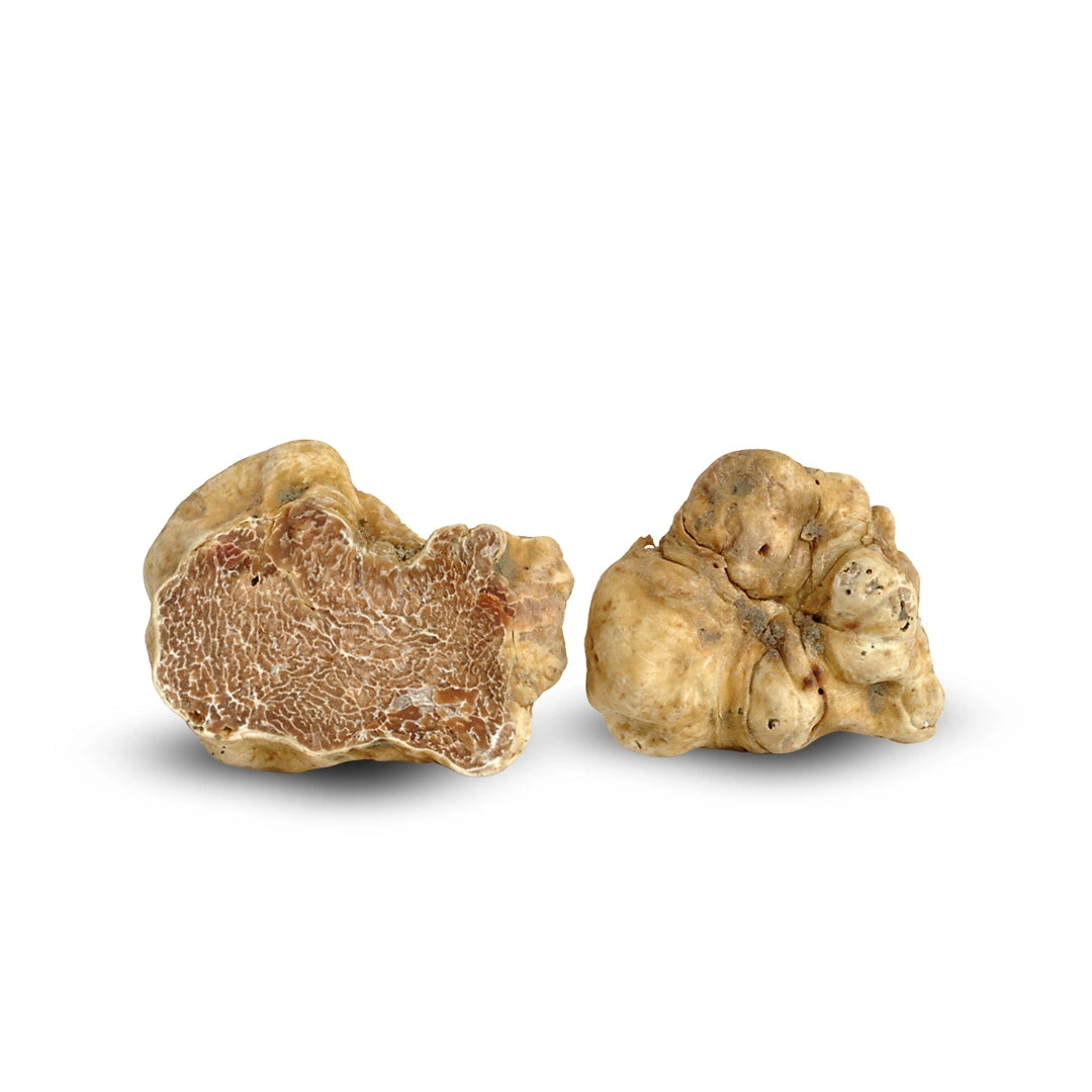 finest white truffle product in Germany