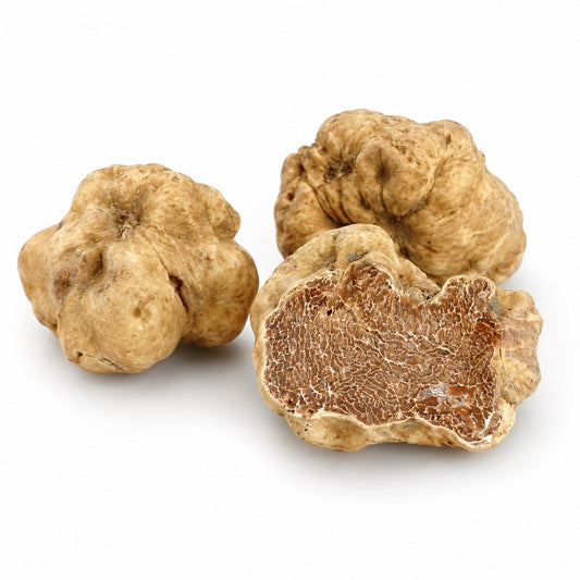 Fresh Fine White Truffle Tuber magnatum Pico with pale textured skin and cut interior